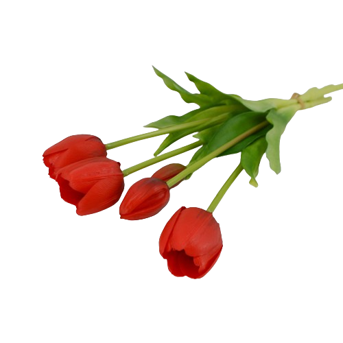 チューリップ5本セット　レッド