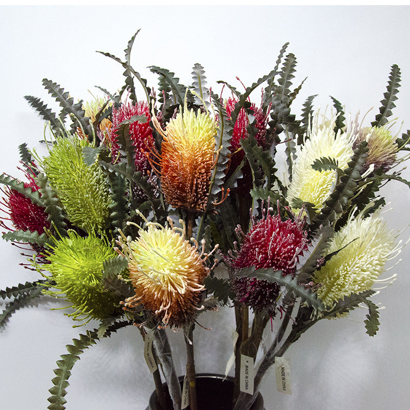 バンクシア　オレンジ