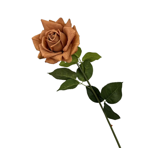 バラ　ブラウン