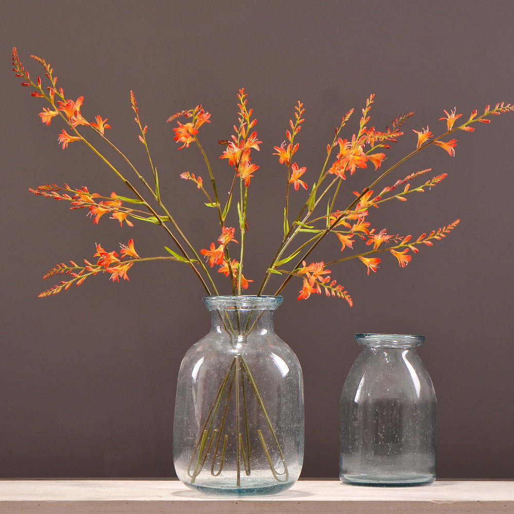 ヒメヒオウギズイセン　オレンジ