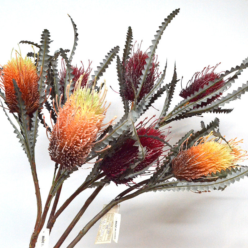 バンクシア　オレンジ